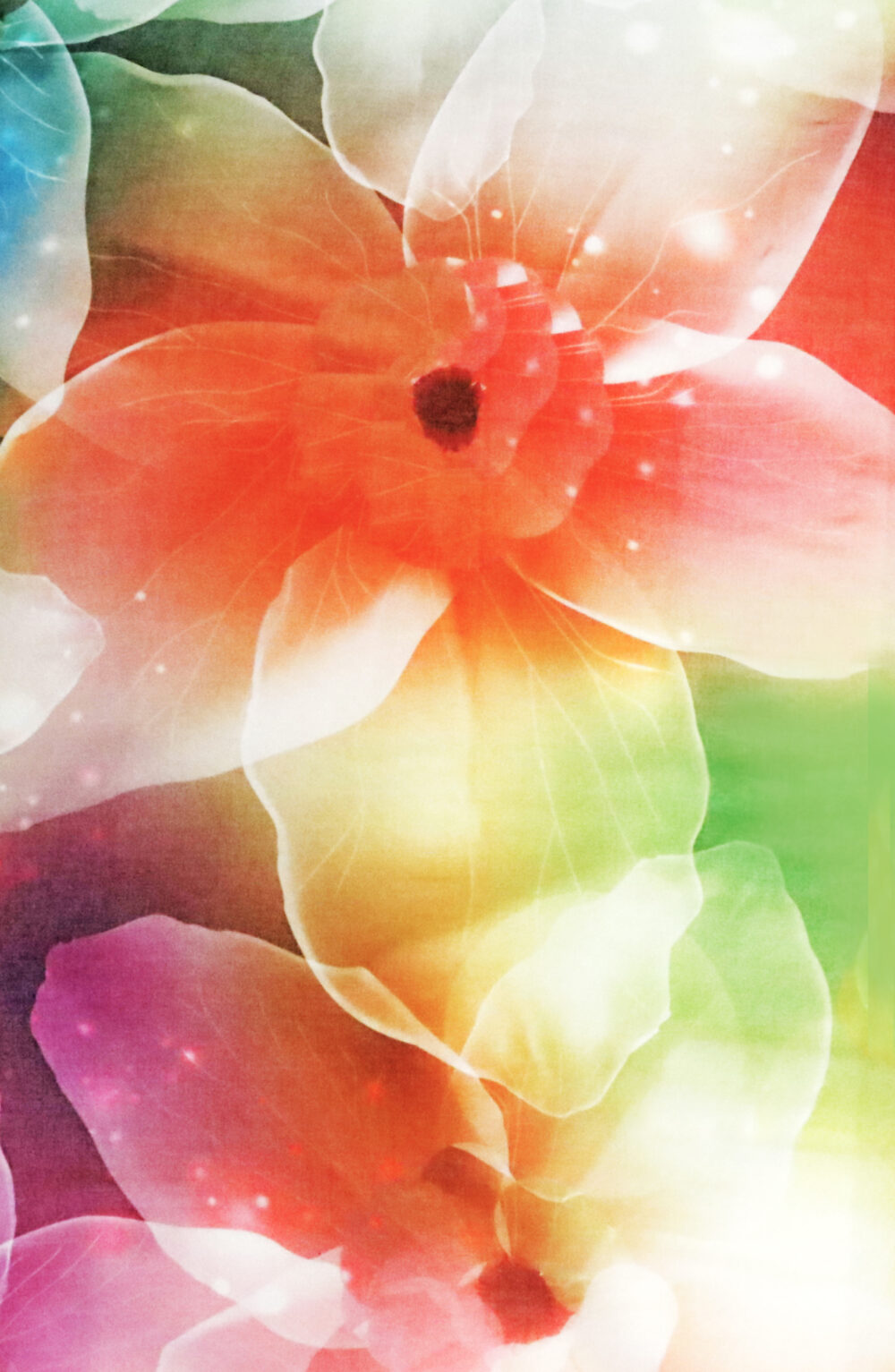 Women scarf rainbow flowers colored - Image 4